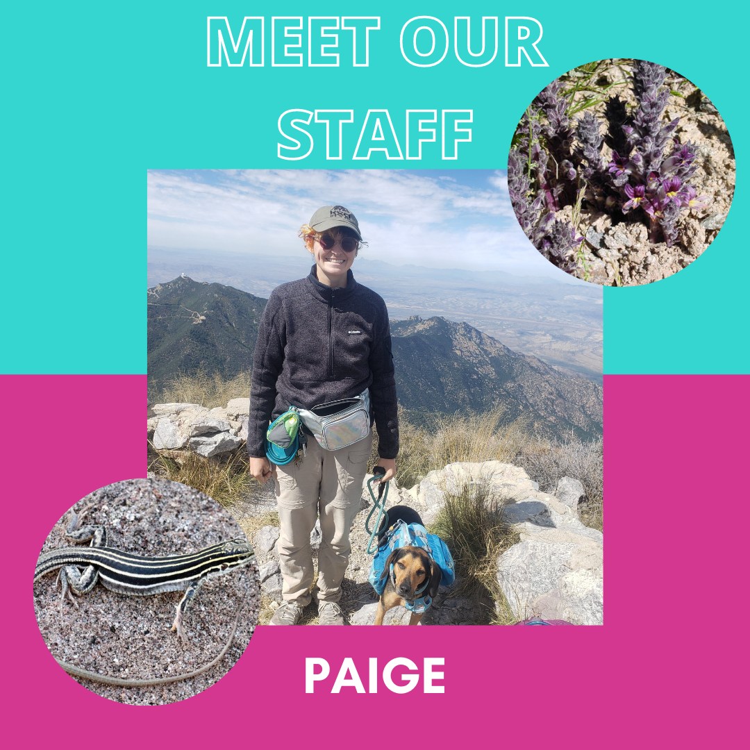 Square image with turquoise on the top and hot pink at the bottom. The words "Meet our Staff" are written at the top, and at the center of the post is an image of Paige and their dog, with "Paige" written below. 